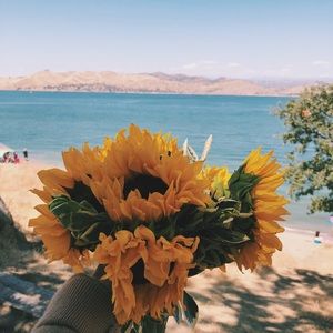 Meet your Posher, Brenda